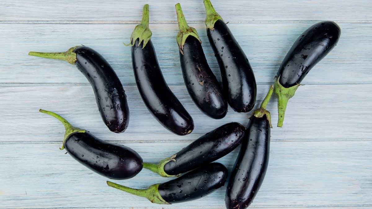 Meyse tarım patlican